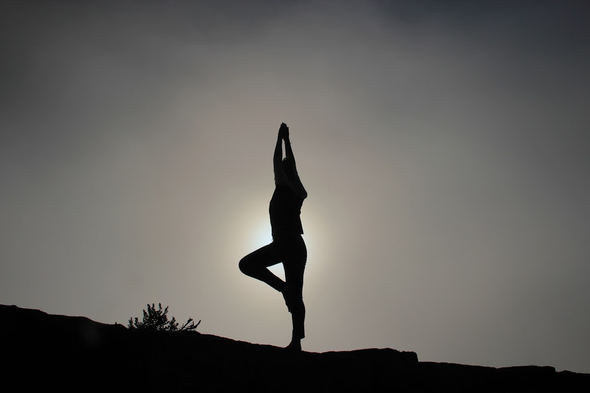 Beginner yoga fundamentals